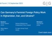 When the German Foreign Ministry launched its guidelines on