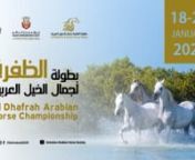 Al Dhafrah Arabian Horse Championship 2024 from arabian