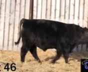 Lot 46 62L Ty Draves from 62l