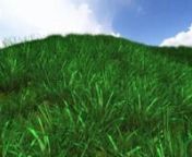 Rendering grass based on an article from GPU gems. The grass is scattered across the landscape based on slope and height.nnTerrain is rendered and textured on gpu. Based on several rules a pixel is textured by taking height, slope and steep into account.nnnn----ni&#39;m sorry. vimeo encoding looks horrible. for a better version, download the .mov.