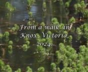 Brids from a walk in Knox, Victoria, Australia, 2024.