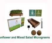 Mixed Salad-Sunflower Growing Kit from sunflower growing kit