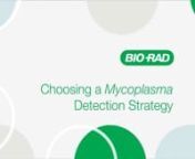 In this video, Bio-Rad provides a short overview of its Vericheck ddPCR *Mycoplasma* Detection Kit for ensuring high-quality ddPCR data. The *Mycoplasma*kit works quickly, has a 1 CFU/mL limit of detection (LOD), and uses probe-based chemistry to reduce false positives whilst meeting all U.S. and Japanese pharmacopeia requirements.