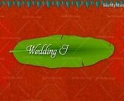 Red Theme Indian Cartoon Couple Animated Traditional Wedding Invite Video- 213217.mp4 from indian cartoon mp4