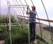 This week learn the importance of an organic garden. The tomatoes are ready to get tied up on the trellis system.nnLearn more about the soil food web on our website-https://thelivingfarm.org/soil-food-web-garden/nnWhat Can I Plant Today? (scroll down)https://thelivingfarm.org/high-performance-garden-show/nnEasy PVC Trellising system:https://thelivingfarm.org/project/tomato-trellis/nnEnroll in the High Performance Garden Show (https://thelivingfarm.org/high-performance-garden-show/) to watch over