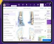 See some the time-saving features of EMA®, Modernizing Medicine®’s podiatry-specific EHR and learn how you can customize protocols and ePrescribe with ease. To learn more, visit modmed.com/podiatrynnHere is a full transcription of the video:nnEvery minute counts in your podiatry practice. So let’s quickly review just a few of the time-saving features of Modernizing Medicine®’s podiatry-specific EHR, EMA® - designed for you, whether your podiatry practice focuses on at-risk foot care or