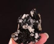 Available on Mineralauctions.com, closing on 4/22/2021.nnDon’t miss our weekly fine mineral, crystal, and gem auctions on mineralauctions.com. Dozens of pieces go live each week, with bids starting at just &#36;10!nMineralauctions.com is brought to you by The Arkenstone, iRocks.com