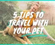 5 #Tips to #Travel With Your #Pet &#124; Travel TipsnnWelcome back to the 28th episode of the Travel Tips series! �nnIn this week’s episode of Travel Tips, Jasmine gives you the top 5 tips on how you can start traveling with your pet! It’s always heartbreaking to leave your furry friends behind, so why not take them along for the ride? �nn� Check out some our unique group trips:n�� Trips to Sweden ►https://bit.ly/3jJ253V n�� Trips to France ► https://bit.ly/2UmKNiy n�� Tri
