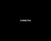 Symmetria, 2017nAcrylic on Muslin, 108
