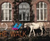 Coming to a film festival near you, soon!-https://www.walkwithjenny.dennWerner survived the Second World War buried alive in the rubble as a child. In an unconditional manner Werner’s Arabian mare Jenny guides the viewer through his story. The horse seems to be more than just an animal.nnSubtitles:EN - DE - FR - AR - ES - IT - UK - TR - RUnget a DVD of The Walk here: https://www.facebook.com/walkwithjennynnCast &amp; Crew:nIdea &amp; Script &amp; Cinematography &amp; Direction &amp; Prod