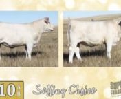 Lot 10AB Choice -PIC -Superstar 2020 from ab pic