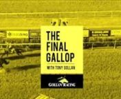 A huge Eagle Farm meeting on Saturday will ignite a new year of racing and our stable can’t wait to ‘get stuck in’ to 2021 with 13 runners on the card. Classy 3yos Palladas &amp; Starosa will gallop for glory in the Group 3 Vo Rogue Plate while mares Niedorp, Persuader &amp; Socialising will vie for supremacy in the Listed Nudgee Stakes, amongst our strong Saturday team. To get the good oil from trainer Tony Gollan as our horses continue on the road to the Magic Millions, here is our New Y