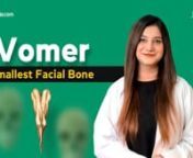 Official sqadia.com Website: ✦ https://www.sqadia.com/catalogn✦ 5500+ Medical Videosnn☛DESCRIPTIONnExplore the vomer - smallest facial bone - human anatomy. Revise some interesting facts about this facial skeleton bone. We will be detailing the anatomical landmarks, vomer articulations, vomer bone function, and the development history of the vomer.nnJoin us, as our anatomy mascot Max, also makes a return, to aid medical students learning, even more!nSo, watch Vomer bone anatomy fun lectu