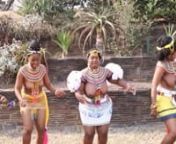 Umemulo BeNtombenhle eNtuzuma Zulu dance.mp4 from umemulo
