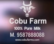 CoBu Farms is a milktech company based out of Jaipur, Rajasthan, which deals in milk and milk-based products which includes pure A2 Gir Cow Milk, Buffalo Milk, Cow Milk, Gir Cow Ghee, Buffalo Ghee, Cow Ghee, Paneer and White Butter. We provide complimentary online delivery of milk in Jaipur. We have a completely automated process. Our USP includes No oxytocin, No Pesticide, Untouched Milk. Our mission isto offer Farm Fresh Whole milk to energize the society from Farm to Kitchen. CoBu Farms is