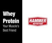 To feel and perform your best, day after day, your protein needs must be met. Doing so is easy with Hammer Nutrition’s Whey Protein, which contains 100% whey protein isolate, the most bioavailable protein on the planet. Hammer’s Whey Protein is super pure—free of lactose, fat, and added sugar, and is derived from US-raised, grass-fed, hormone-, and antibiotic-free cows. A whopping six grams of the multibeneficial amino acid, L-glutamine, are added for additional health benefits.