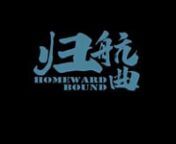Homeward bound 《归航曲》 — wanying zhang