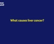 In this short video, Dr Jacob George talks about the different causes of liver cancer.