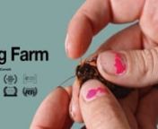 Four distinct women in Central Florida bond over crickets, superworms and cockroaches on an insect farm in the small town of LaBelle.nnPOV: https://www.amdoc.org/pressroom/pov-shorts-season-4-acquisitions/#overviewnNowness: https://www.nowness.com/story/bug-farm-documentarynBooooooom: https://tv.booooooom.com/2021/07/16/bug-farm-lydia-cornett/nPBS Reel South: https://www.reelsouth.org/stories/filmmaker-interview-lydia-cornett-and-her-team-highlight-unique-world-bug-farmnn2021 AFI Docsn2021 Aspen