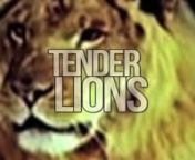 TENDERLIONS LIVE AT BLOW UP 2/11/11. filmed &amp; edited by Chris Sanders at DNA Lounge.
