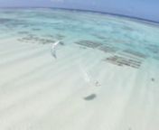 Un immense lagon pour le freestyle, des vagues sur le reef pour le surf, du sable blanc, une eau translucide, la nav en boardshort et bikini....tous les ingrédients sont réunis sur ce spot de Paje à Zanzibar pour en faire un paradis du kitesurf!nnRider: Charlotte CONSORTI, Bruno DUBOSQnSpot: Paje, Zanzibar, TanzanienProduction: White WallnPlus d&#39;infos sur Haraka kite: http://www.zanzibarkiteschool.comnRoad Book: http://charlotteconsorti.fr/voyages/tanzanie-zanzibar-paje/nMerci à: Airwaves, F