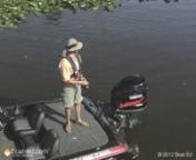 Fishing from fishing