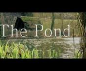 The Pond nA Short Film By Dimitris Argyriou, 2010nnnAwards:n- Nominated Best Film at Radical Democracy Video Challenge 2014nn-