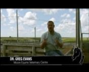 The Horse&#39;s Mouth TV Episode #9 guest stars Dr. Greg Evans, DVM,AVCA.IVAS,BSc. Ag. of Moore Equine Veterinary Centre who provides the Calgary Stampede Ranch&#39;s horses with top notch care including dentistry and hoof care. nJoin host Monica Culic against the beautiful backdrop of the Ranch&#39;s rolling acres as Dr. Greg shares about his work with horses.nLike! Share!
