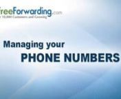 In this video tutorial from http://www.TollFreeForwarding.com you will learn how to set up and manage your new international phone numbers. nnTo learn more visit http://www.TollFreeForwarding.com and sign up for your own Free Trial and expand your business today!nn--About TollFreeForwarding.com--nFounded in 2002, http://www.TollFreeForwarding.com is an international telecommunications provider based in Los Angeles, California. We are a privately held company bringing businesses around the world