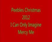 Our 2012 Christmas display animated to I Can Only Imagine by Mercy Me.