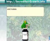 CLICK HERE: http://SacredHairGrowth.info, and receive a FREE eBook