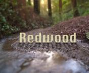 What started as a challenge to film in difficult high contrast scenes turned into long sessions and a mini film of these ancient trees. This video is motion control time lapse of the enchanted California coastal Redwoods.nn