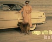 Tango with lions - In a bar from harmonica and guitar blues