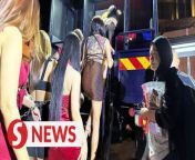 Fifteen Thai women were among 22 people arrested during a raid at a nightclub located in Taman Melaka Raya, Melaka on Wednesday (Sept 13).&#60;br/&#62;&#60;br/&#62;State Immigration Department director Anirwan Fauzee Mohd Aini said the Thai women would stand on stage and patrons would choose which women they wanted as their server by putting a garland of flowers on them.&#60;br/&#62;&#60;br/&#62;Read more at https://tinyurl.com/4n6nj3ur&#60;br/&#62;&#60;br/&#62;WATCH MORE: https://thestartv.com/c/news&#60;br/&#62;SUBSCRIBE: https://cutt.ly/TheStar&#60;br/&#62;LIKE: https://fb.com/TheStarOnline