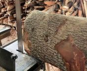 Enhanced Craftsmanship Mastering the Sawmill for Amazing Woodworking! from se boro natter master new video angela movie song gun karachi