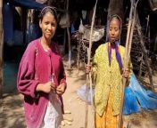 मेरा गाँव और गाँव की लड़कियाँ&#124; Village girl Vs City girl &#124; beautiful village girl vlog &#60;br/&#62;#villagegirl &#60;br/&#62;#village &#60;br/&#62;#villagegirlsvscitygirl&#60;br/&#62;#villagegirls &#60;br/&#62;#villagegirlvlog &#60;br/&#62;#villagegirlvideo&#60;br/&#62;Hello today&#39;s video we will see how village girls does their work in their homes. &#60;br/&#62; We are also now cocking food and then today she is in mood in singing song and also she will tell us how her pachpan. How she used to play games and what all games also. &#60;br/&#62;Village girls gorship when sitting both many different kinds of talks comes. Village girls spend time in this way. after that heavy rainfall and we enjoy rain.&#60;br/&#62;Just go through video do like share subscribe if you feel like.