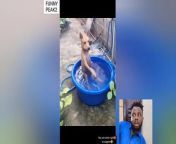 A dog bathing inside a rubber like a bath tub