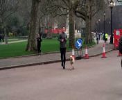 Jeremy Hunt arrives through the back gates of Downing Street after a run with his dog ahead of his Budget announcement. The chancellor is expected to announce a 2p National Insurance cut among other measures aimed at satisfying Conservative voters. Report by Brooksl. Like us on Facebook at http://www.facebook.com/itn and follow us on Twitter at http://twitter.com/itn