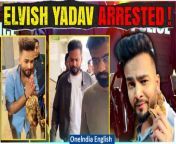 Bigg Boss OTT winner Elvish Yadav finds himself in trouble as Noida Police arrests him in a snake venom case. Stay tuned for more updates on this developing story. &#60;br/&#62; &#60;br/&#62; &#60;br/&#62;#ElvishYadav #ElvishYadavArrested #ElvishYadavArrest #ElvishYadavSnakeVenom #SnakeVenomCase #ElevishYadavControversies #ElevishYadavApology #Oneindia&#60;br/&#62;~PR.274~ED.102~GR.123~