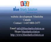 Ecommerce Website Manitoba: We have many years of experience in commerce website design Winnipeg. We are proud of our professional proficiency and confident to meet each of your professional necessities.&#60;br/&#62;http://www.bluesharksolution.ca &#60;br/&#62;