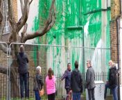 Crowds flocked to see the Banksy tree mural defaced with white paint.Source: PA