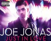 Joe Jonas New Remix Featuring Lil Wayne.&#60;br/&#62;New 2011 song.