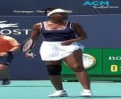 A runaway cat interrupted gameplay at the Miami International. Tennis great Venus Williams and opponent Diana Shnaider were ordered to pause mid-game as the cat ran across the court.