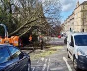 Large trees fall in Dundas Street after Storm Kathleen hits Edinburgh from all hit