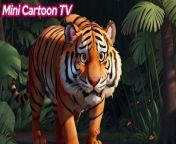 3.37 Dance Party SafariGrooving with Jungle Friends #minicartoontv #cartoon #viral #cartoonfun