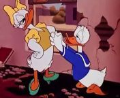 Donald Duck Cured Duck1945 Disney Toon from vio toon