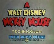Mickey s Amateurs Disney Toon from disney toon studios walt disney pictures 2000