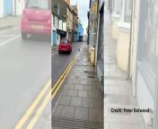 Otter strolling down Bridge Street in Aberystwyth from asa dylan sandal song