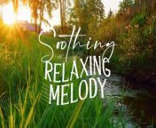 Relaxing Nature Sounds - Calm Atmosphere for Meditation, Stress Relief, Sleep Aid from aid gan slim