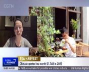 CGTN Europe spoke to Juyan Webster, Owner and founder of the The Chinese Tea Company.